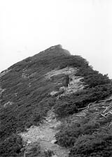 The path ahead