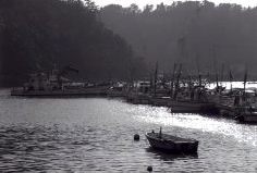 Some fishing boats at rest